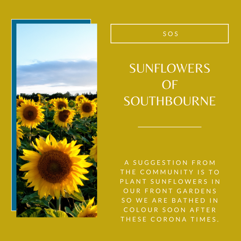 Sunflowers of Southbourne poster